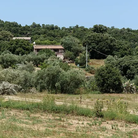Bosco Littu 2 Dorgali