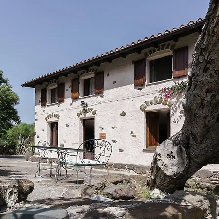 Bosco Littu 2 Dorgali